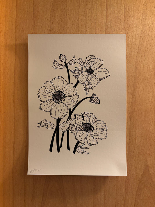 Japanese Anemone - A5 Print Signed